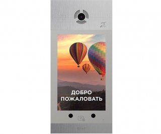 BAS-IP AA-14FBIS SILVER фото