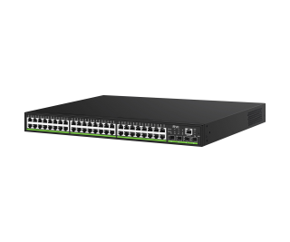RVi-1NSM48G-4SP фото