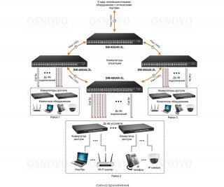 OSNOVO SW-48G4X-2L фото
