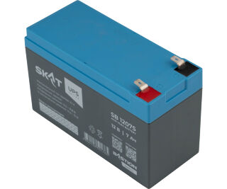 Бастион SKAT SB 1207S фото