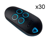 CAME 806TS-0270/30